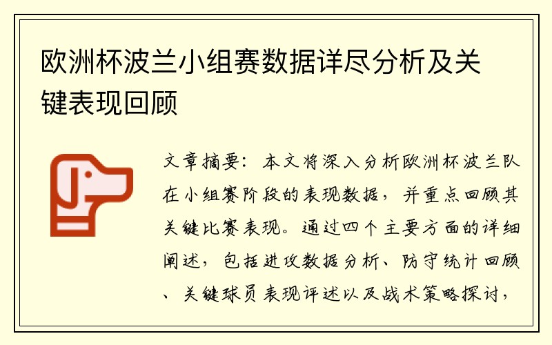 欧洲杯波兰小组赛数据详尽分析及关键表现回顾